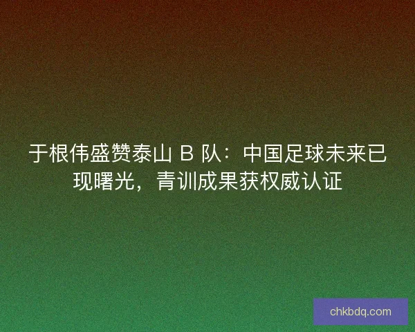 于根伟盛赞泰山 B 队：中国足球未来已现曙光，青训成果获权威认证